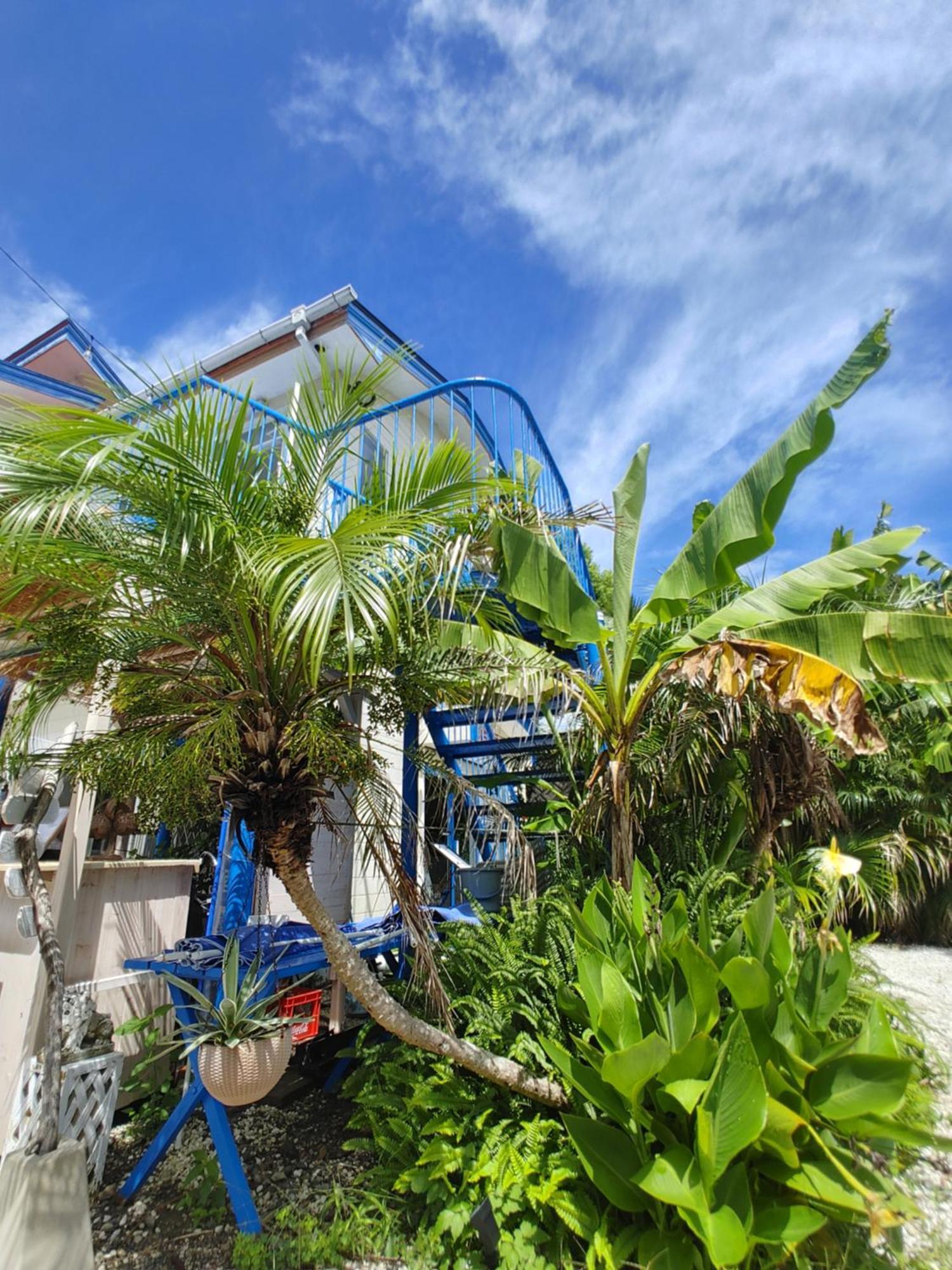 Izu Shirahama Guest House Churaumi Shimoda  Bagian luar foto