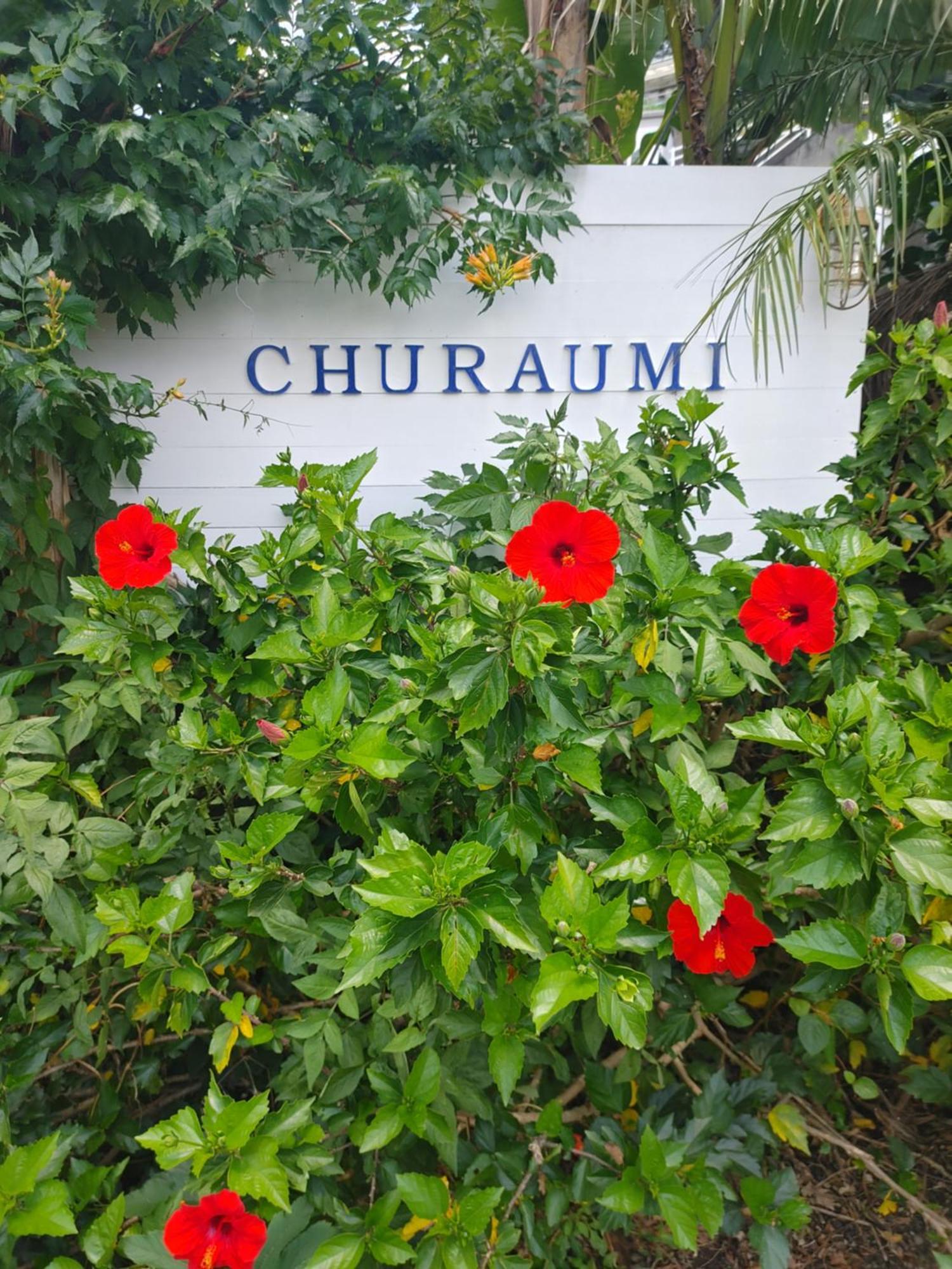 Izu Shirahama Guest House Churaumi Shimoda  Bagian luar foto