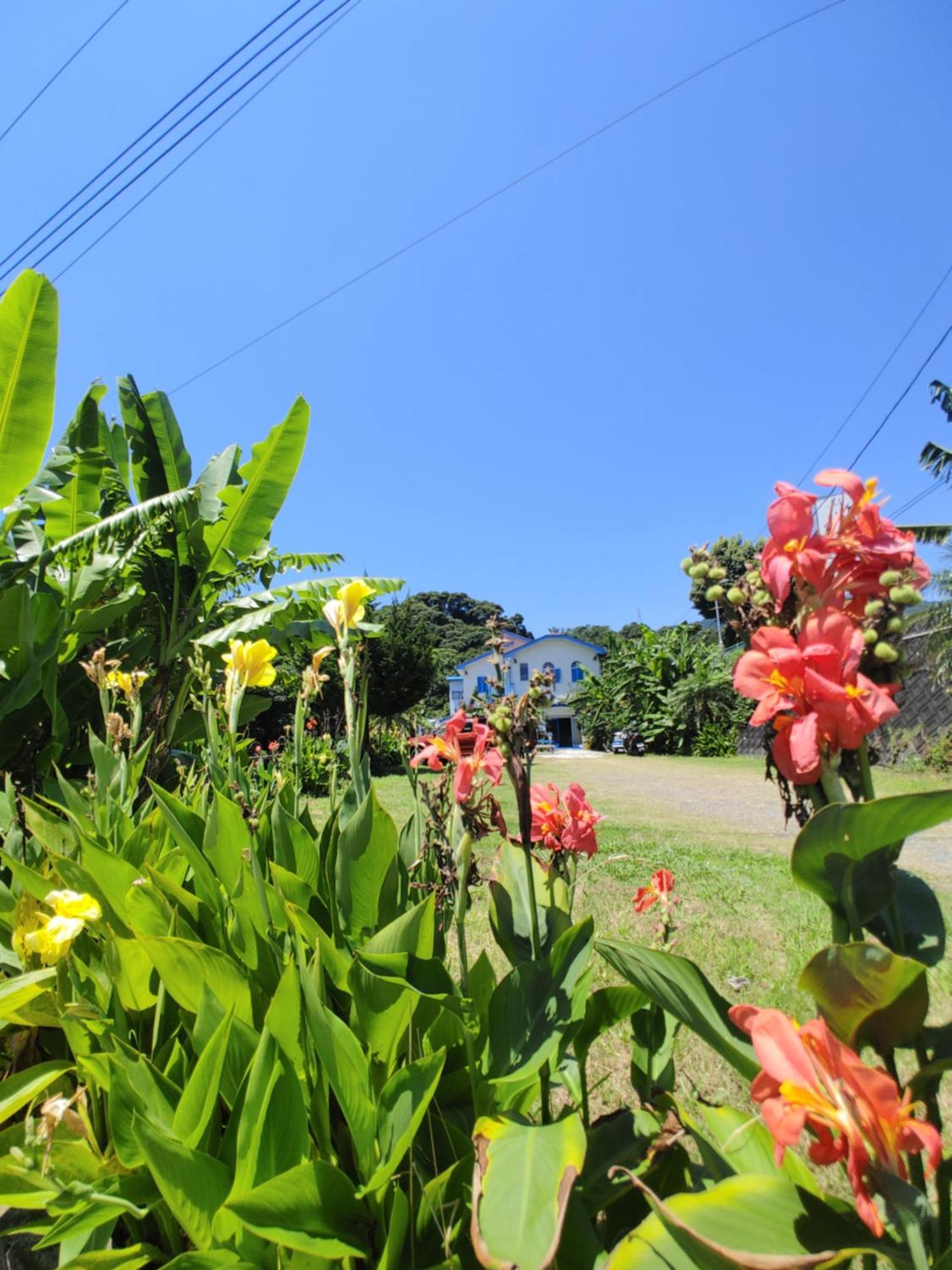 Izu Shirahama Guest House Churaumi Shimoda  Bagian luar foto